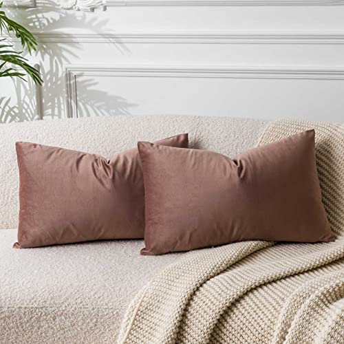 Image of JUSPURBET Throw Pillow Covers Set of 2 Decorative Velvet Pillow Covers for Couch Sofa Bed Soft Lumbar Cushion Covers with Invisible Zipper for Living Room Home Decor,Jam,14x24 inch