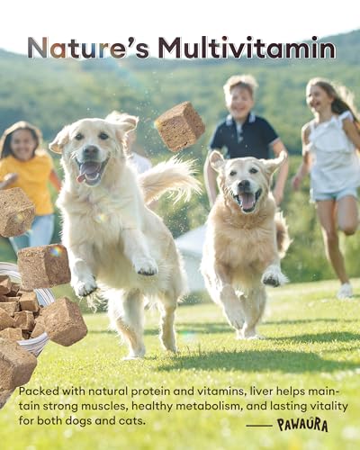 Freeze-Dried Beef Liver Treats for Dogs & Cats, 100g(493g Raw equivalent), Single Ingredient, High Protein, Grain Free Natural Pet Treats, Ideal for Training & Meal Toppers, Resealable Tub - Image 6