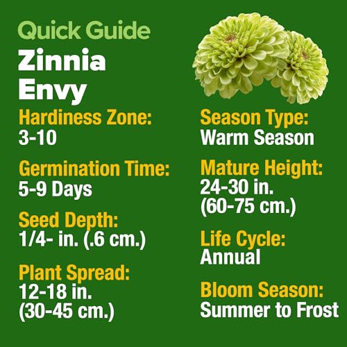 Image of HOME GROWN Envy Zinnia Seeds (2oz) - 8,500 Rare Lime Green Annual Zinnia Flower Seeds for Planting, Fast-Growing Bulk Seed Variety, Premium Garden Companion for 2026 Bloom (Zinnia elegans)
