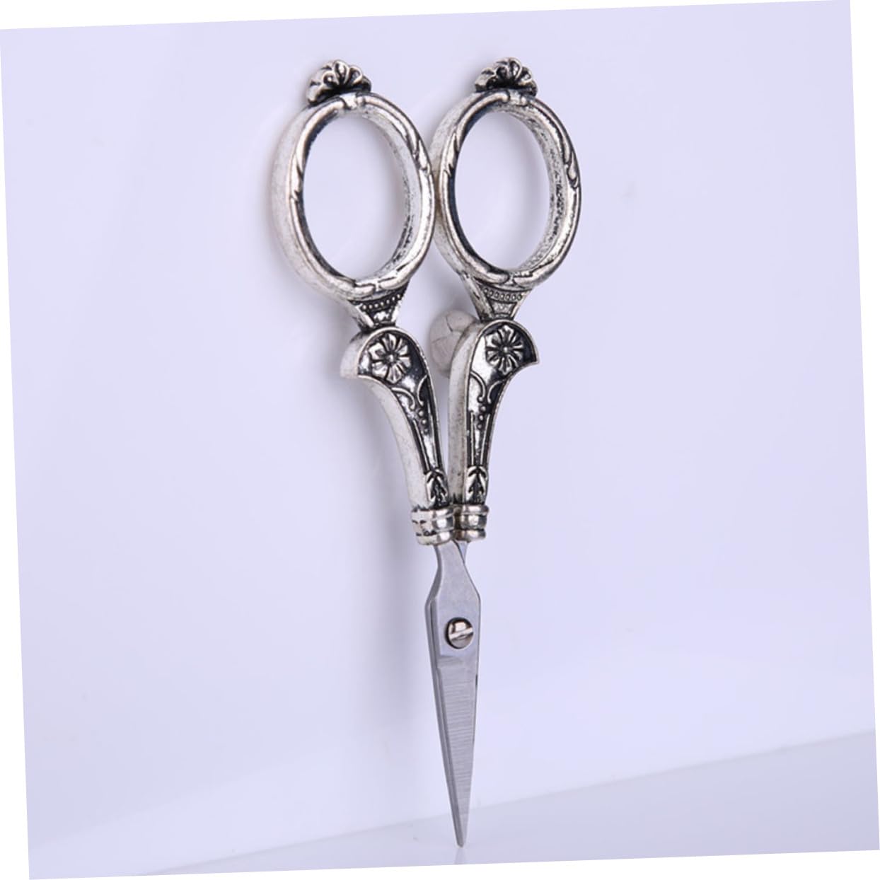 Forbici da Sarto in Acciaio Inox, Set 1 Pezzo, Argento