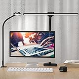 HAMOPY LED Desk Lamp with Clamp, 2-in-1 Double Head Architect Desk Lamp with USB Charging Port, Goos