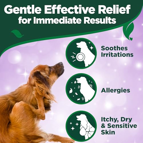 Vet's Best Dog Hot Spot Juckreiz Relief Spray, Lindert trockene Haut, Ausschlag, Kratzen, Belecken, juckende Haut und Hot Spots bei Hunden, brennt nicht und ist alkoholfrei 250ml