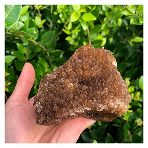 YSCSPQA Natürlicher Kristallstein 1 stücke Natürliche gelbe Bernsteinzechenkalze Rohstein Kristall Edelstein Kollektion Cover