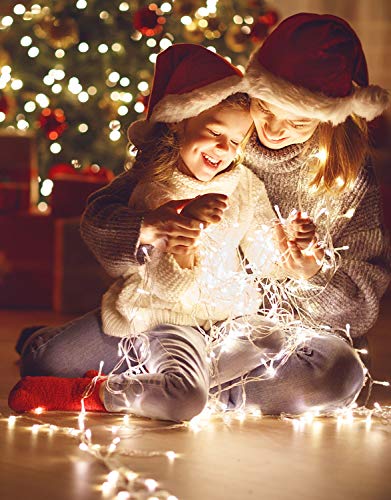 Jamasia 999103 Led-lichtsnoer met 200 ledlampjes, warmwit, met transformator en 8 uur timerfunctie, voor binnen en buiten, groene kabel lengte 27,90 m, toevoer 8 m, LED-afstand 10 cm, GS-getest - Image 6