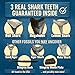 Sunken Hunter Megalodon Shark Tooth Dig Kit - Authentic Fossils Found in The USA(Megalodon Fragment Guaranteed + Lemon & Bull Shark Teeth) - Uncover Real Fossils - Perfect STEM Gift for Kids