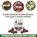 JUJUME | USDA Organic California Grown Jujubes Red Dates | Individually Sorted 3X for QA | High Grade Superfood | Healthy Dried Fruit | Certified All-Natural Non-GMO | 6 oz. bag