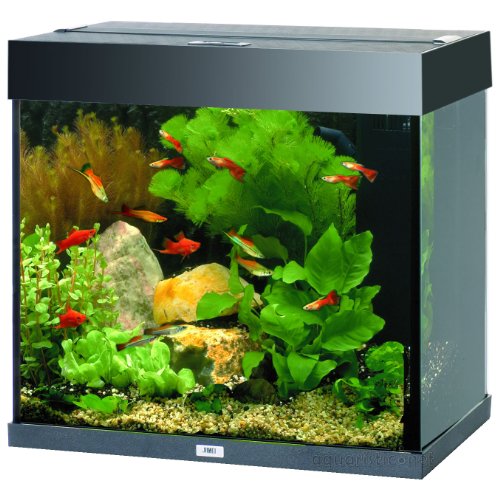 Acquario Juwel Lido 120 Nero