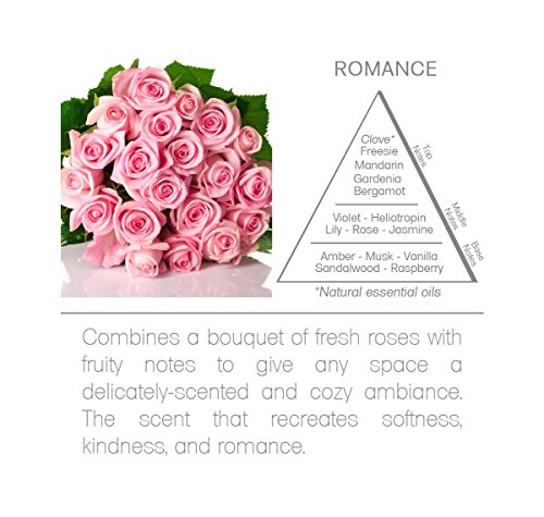 Ambientador Acqua Aroma Romance Reed Diffuser 300 ml miniatura 5