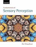 Fundamentals of Sensory Perception