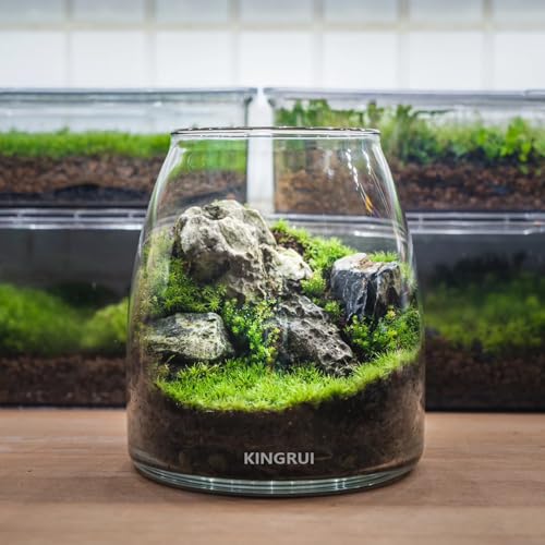 Image of Natural Rocks Seiryu Stone 1-2.5 Inches Decorative Stones for Fairy Gardens,Miniature Landscaping,Bonsai,DIY Crafts, Aquariums & Reptile Terrariums-1lb
