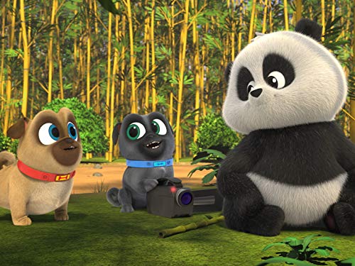 Puppies and Pandas / Orange You Glad?