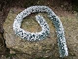  Jordan Original Hecken Schnee länge 50cm Ø ca.2cm für Spur H0 Modellbau 13E