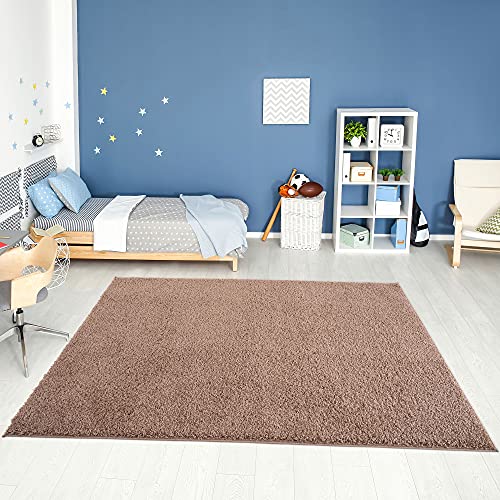 THE RUGS Living Room Rug - Shaggy Soft And Elegant Carpets For The Bedrooms And Kitchen, Easy To Clean, Many Different Sizes (200x290 cm, Beige)