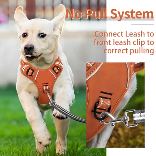 Image of HEELE Dog Harness for Medium Dogs No Pull Dog Vest Harness with Soft Padded Handle Reflective for Outdoor Training, Pumpkin Orange, M