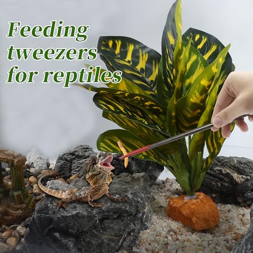 Image of 10.63 inch L Aquarium Straight Feeding Tweezer for Feeding with Red Rubber Tip