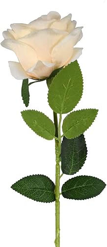 Miniatura 3 de NOVELTY GIANT WWW.NOVELTYGIANT.COM Flores falsas de tallo largo, centros de mesa de boda, ramos de novia, arreglos de ducha (marfil)