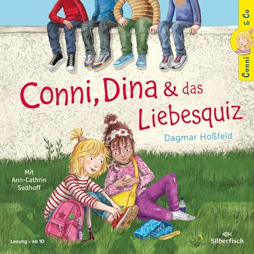 Conni, Dina und das Liebesquiz cover art