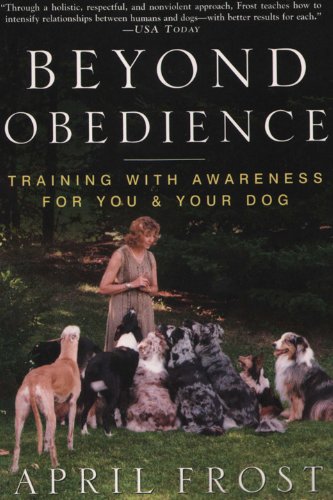 Beyond Obedience: Training with Awareness for You & Your Dog