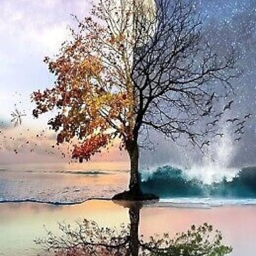 Let the winters pass through you 🤍