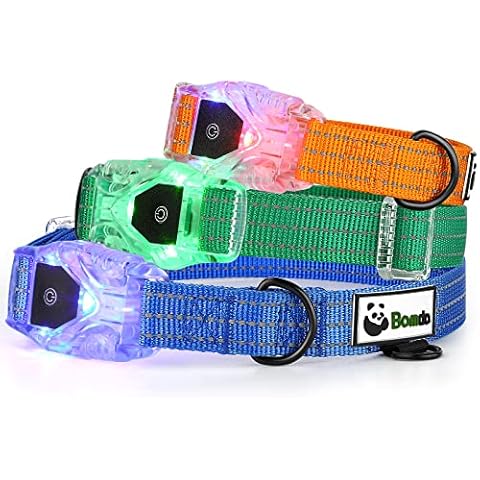 Bamda Dog Collars, 3-in-1 LED Rechargeable Dog Collar, 100% Waterproof Dog Collar and Basic Collar with Quick-Release, Suitable for all-weather use to Increase the Security of Dogs(Florida Seaside M) Cover