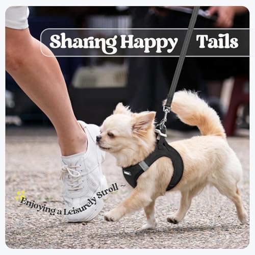 rabbitgoo Step-In Harness & Leash Set (Black, M) — view 9