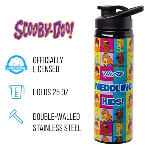 Image of Silver Buffalo Scooby-Doo Meddling Crew, Stainless Steel Water Bottle, 25oz | Kids, Fred, Velma, Shaggy and Daphne, 0.74 Liters