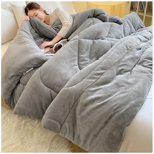 RCGNR Espesar Terciopelo De Leche Manta EdredóN Cama Suave CáLido, NóRdico CáLido NúCleo, Transpirable para Invierno, Manta Cama Matrimonio Y Sofá De Invierno C, 150x200cm/2.5kg