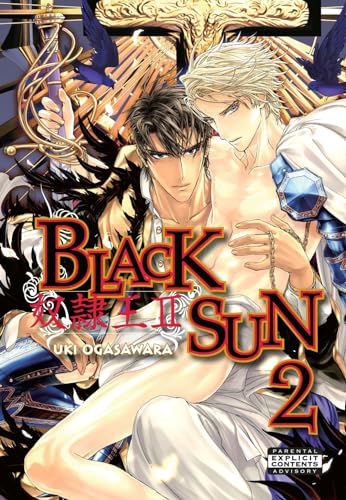 Black Sun Volume 2 (Yaoi) (BLACK SUN GN (801 MEDIA))