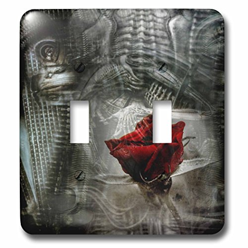 Placa Interruptor Doble Metal 3dRose Acabado Steampunk Premium Colección 3