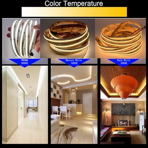 Tira LED COB CCT Dual Color 10M WS2811 con Control miniatura 4