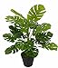 Produktbild Flair Flower Künstliche Splitphilo-Pflanze im Topf Monstera Kunst-Pflanze Seidenblumen Real Touch grün Kunstpflanzen künstliche Pflanzen Splitphilopflanze Dekopflanze groß 53 cm