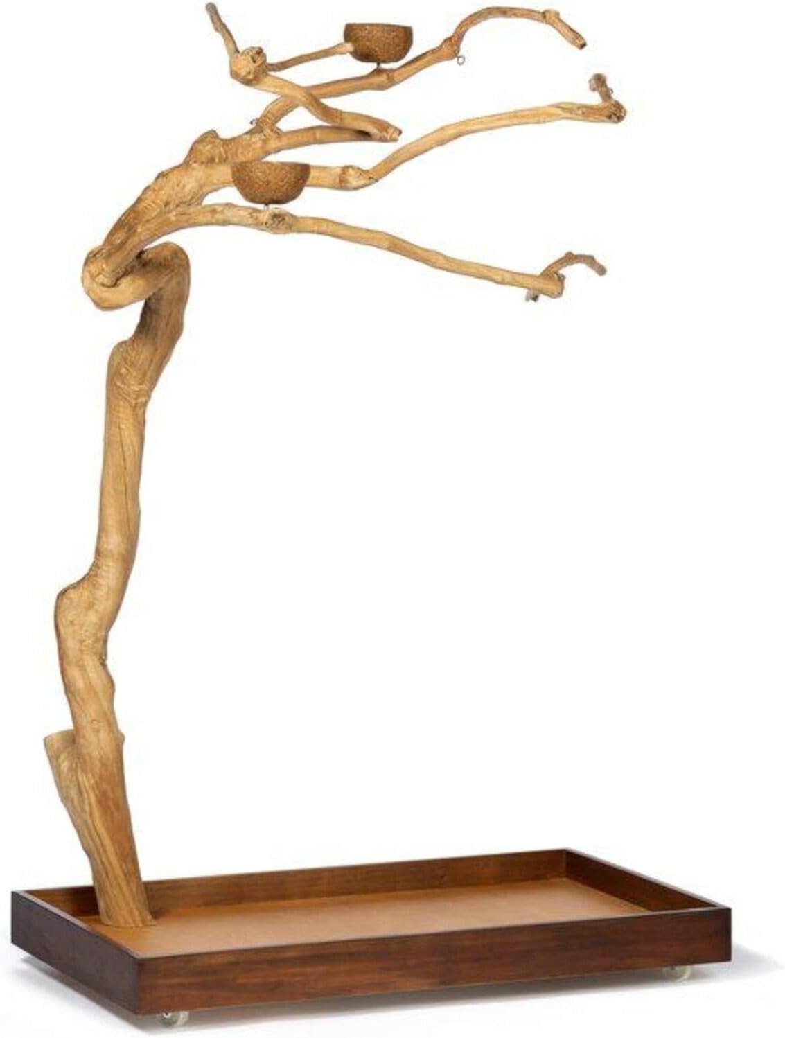 Asian Fusion CoffeeWood Tree-Style Parrot Play Stand with Natural Design, Durable Perches, Feeding Bowls, and Spacious Activity Area for Birds Medium