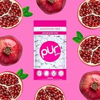 Pur Gum | Zuckerfreier Kaugummi | 100% Xylit | Vegan, Aspartamfrei, Glutenfrei & Diabetikerfreundlich | Natürlicher Kaugummi Mit Pomegranate Mint Geschmack, 55 Stück (1er Pack) – Ansicht 5