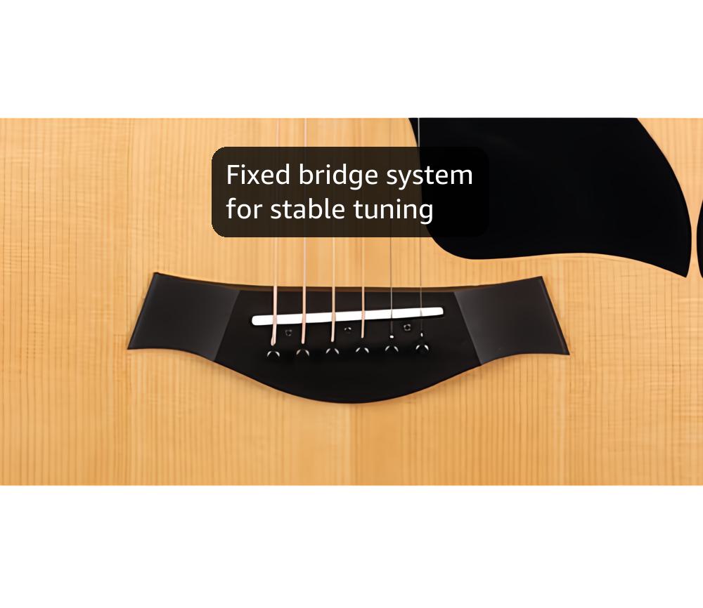 Taylor 214ce Plus, Acoustic Guitar