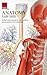 Anatomy Flash Cards
