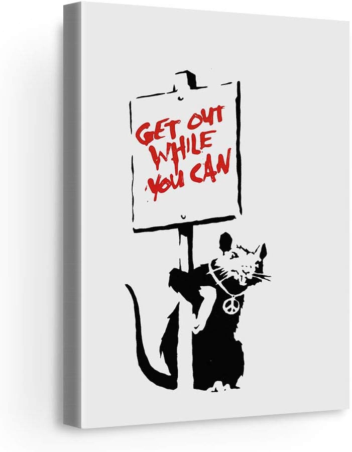 неизвестный художник граффити бэнкси. бэнкси художник. зал banksy. британский художник бэнкси. Banksy the british.