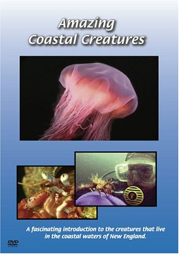Amazing Coastal Creatures [DVD]
