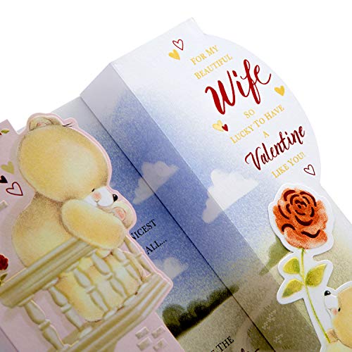 Hallmark Biglietto di San Valentino per moglie