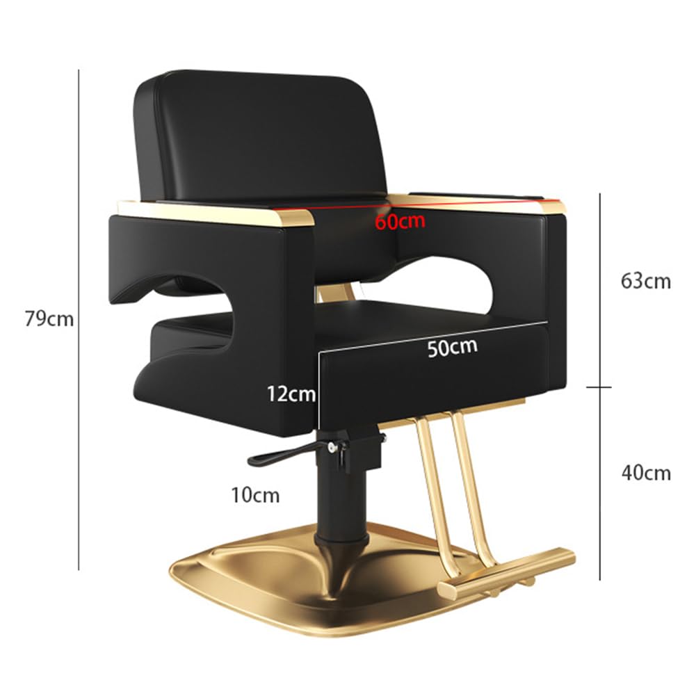 IBOWZ Silla de peluquería Silla de Peluquero con Bomba hidráulica, Silla de peluquería de Cuero PU con Pedal, chasis Cuadrado para barbería, Muebles de salón,D
