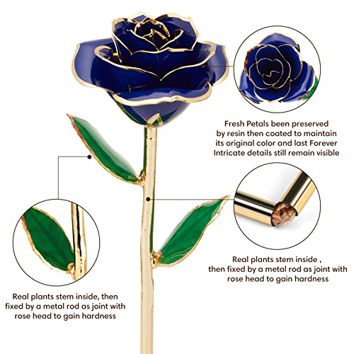 Image of Anthonic Gold Dipped Infinity Rose Last Forever Flower Decor, Birthday Gift for Women in Her Birthday Valentines Day Mothers Day, Resin Preserved Rose | Anniversary Present for Mom (Blue)