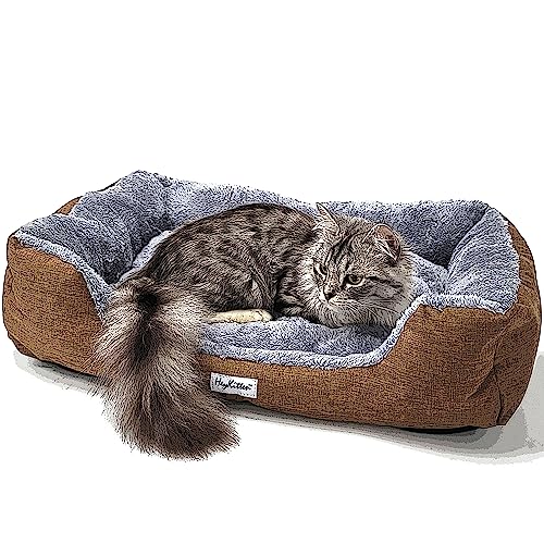 Heykitten Ultra Soft Cat Cushion Bed With Odor Removing Charcoal Bags For Indoor Kittens, Puppies (Brown, Large) #TOP3