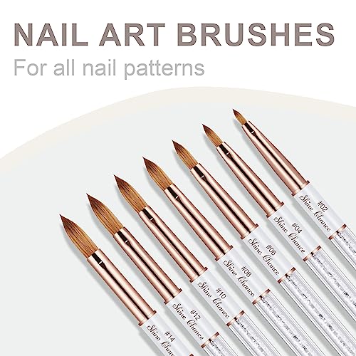 Shine Chance Acrylic Nail Brush Size 12, 100% Real Kolinsky Art Nail Brush For Acrylic Powder Application, Handmade Women Manicure Nail Extension Tool For Professional Diy Home Salon And Beginners #TOP5