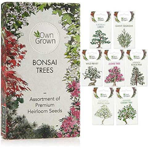 Grow Your Own Bonsai Trees: Premium Bonsai Seeds Set with 7 Beautiful Varieties - Cherry Tree, Black Pine, Giant Sequioa, Eucalyptus - Bonsai Tree Kit with Bonsai Tree Seeds Indoor Plants by OwnGrown Cover