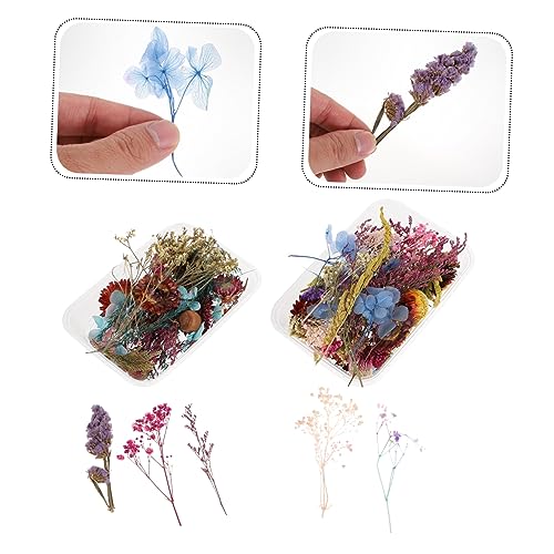 Flores secas naturales mini prensadas para manualidades x2 cajas miniatura 6