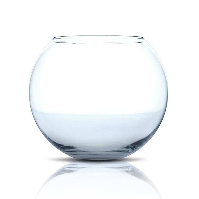 Pecera Globo Cristal 25 Dia