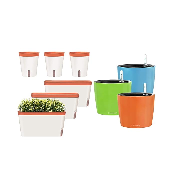Buy GardenBasix Self Watering Planter Rectangle Window Box Set of 6 for