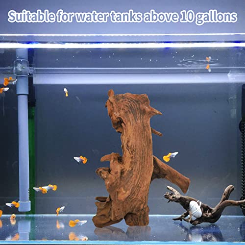 Tfwadmx Natural Large Driftwood For Aquarium Decor Assorted Driftwood 10 Inch-14 Inch Length 2Pcs Tree Branch Fish Tank Decorations Spider Wood Decorations Reptile Ornaments #TOP3