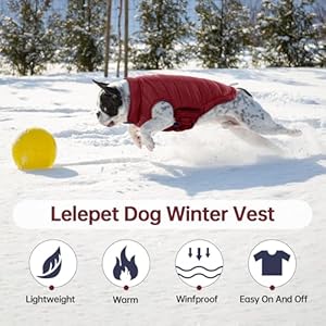 Lelepetdogpufferjacketdogcoatreversibledogjacketwarmdogwintercoatwindproofdogwintervestlightweightdogcoldweathercoatxlargedogcoatwithhookloopdogcoatsforlargedogs Urban Country Home Decor Lelepet dog puffer jacket dog coat reversible dog jacket warm dog winter coat windproof dog winter vest lightweight dog cold weather coat xlarge dog coat with hook loop dog coats for large dogs urban country home decor