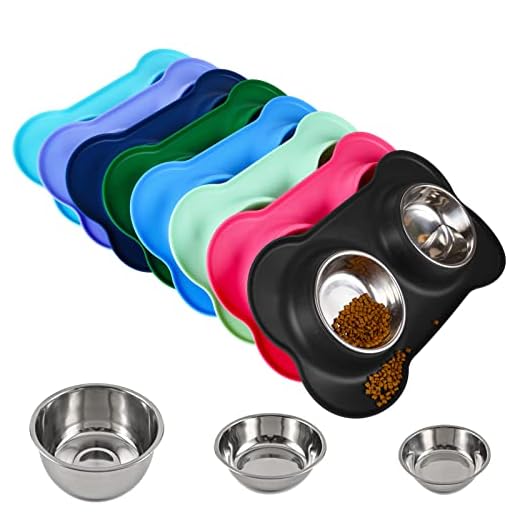 Juqiboom Dog Bowls 2 Stainless Steel Bowl for Pet Water and Food Feeder with Non Spill Skid Resistant Silicone Mat for Pets Puppy Small Medium Cats Dogs
