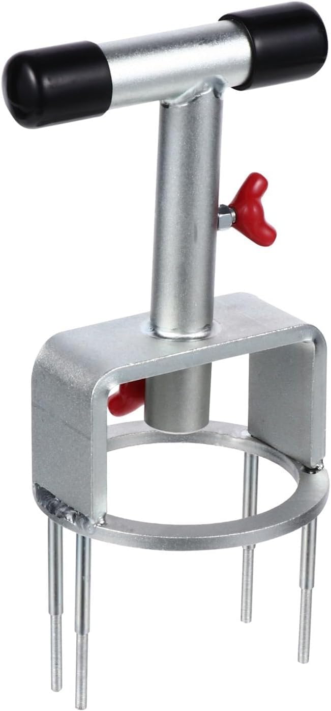 ユーフォルビア アルブスクラ 挿木 発根済み コーデックス 塊根植物